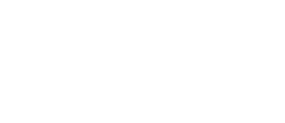 Willow Tree Studio